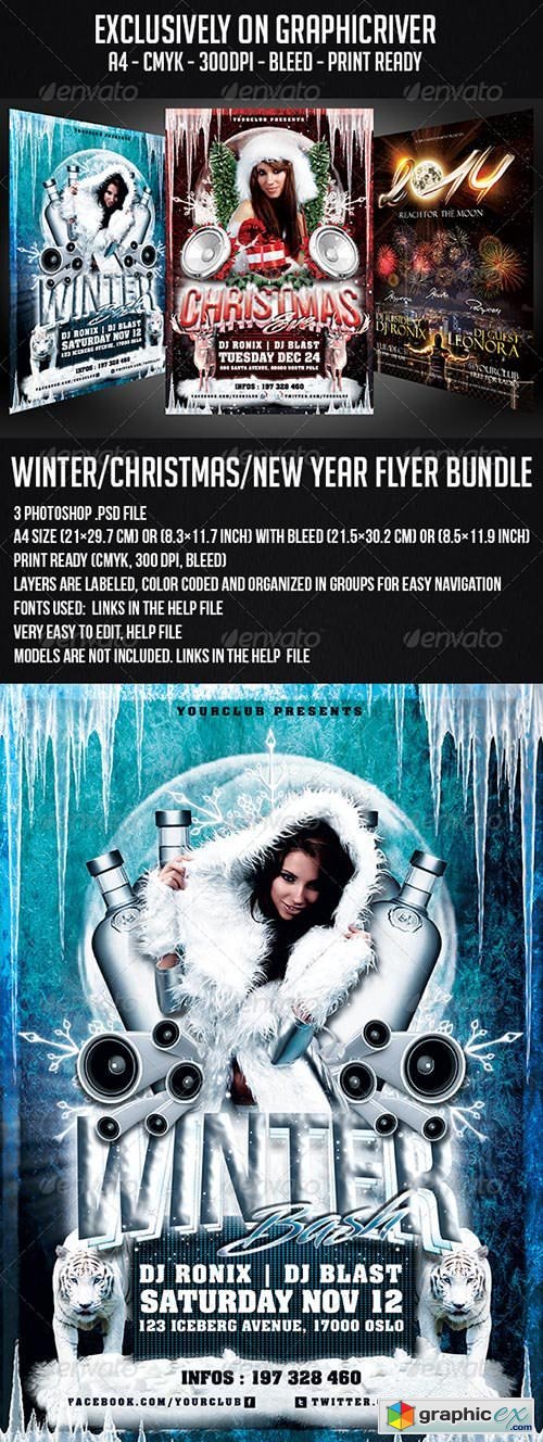Winter / Christmas / New Year Flyer Bundle