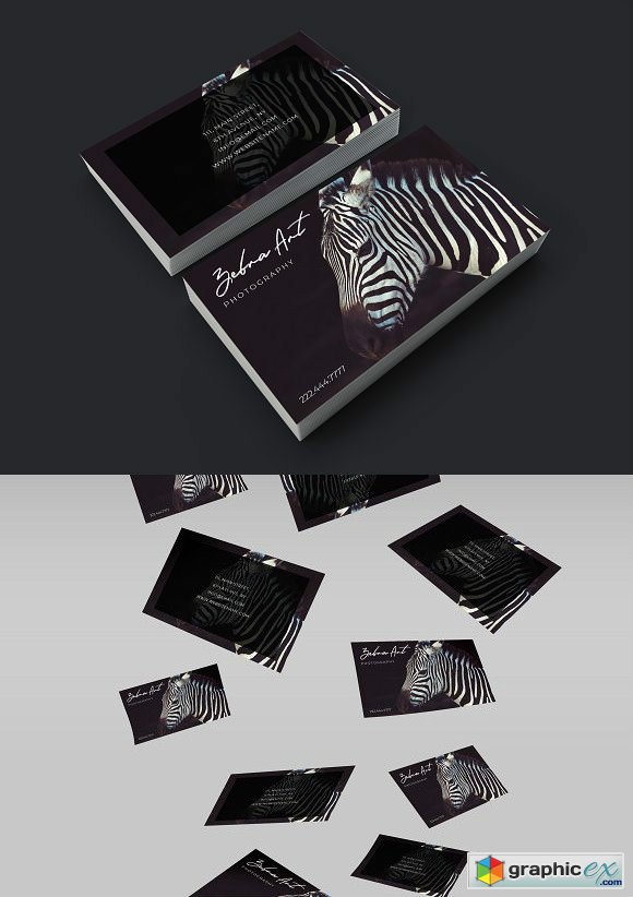 Classy Zebra art design card