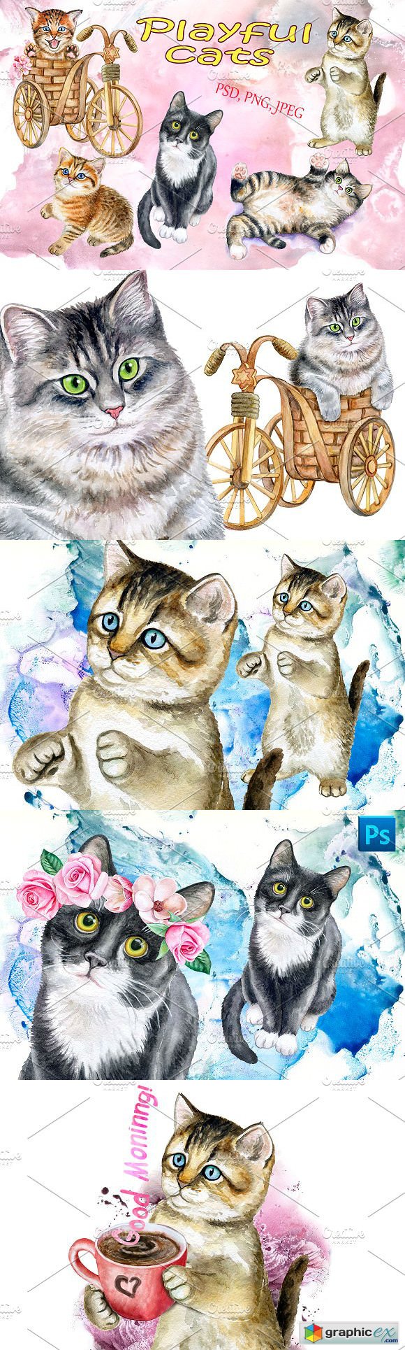 Playful cats Watercolor