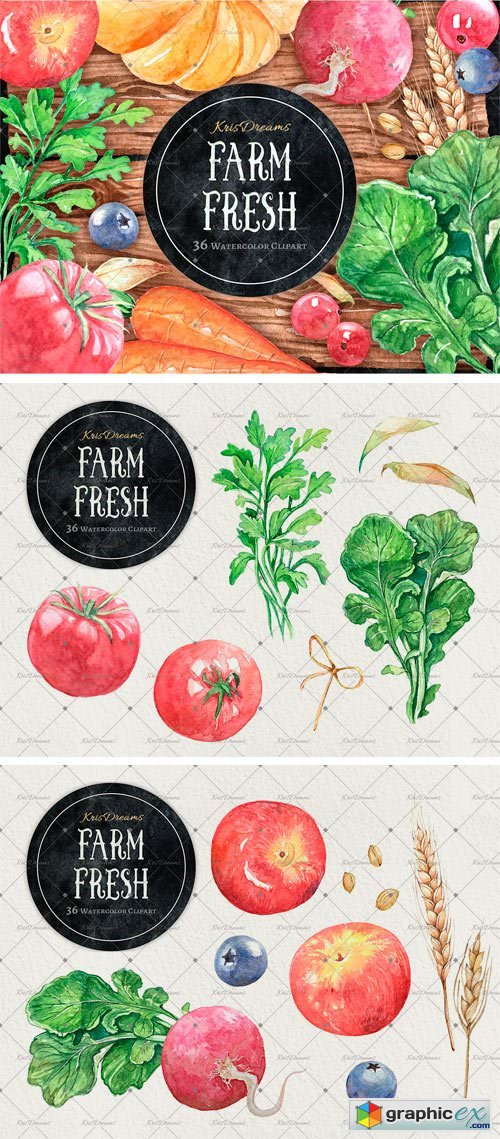 Farm Fresh Watercolor Clipart