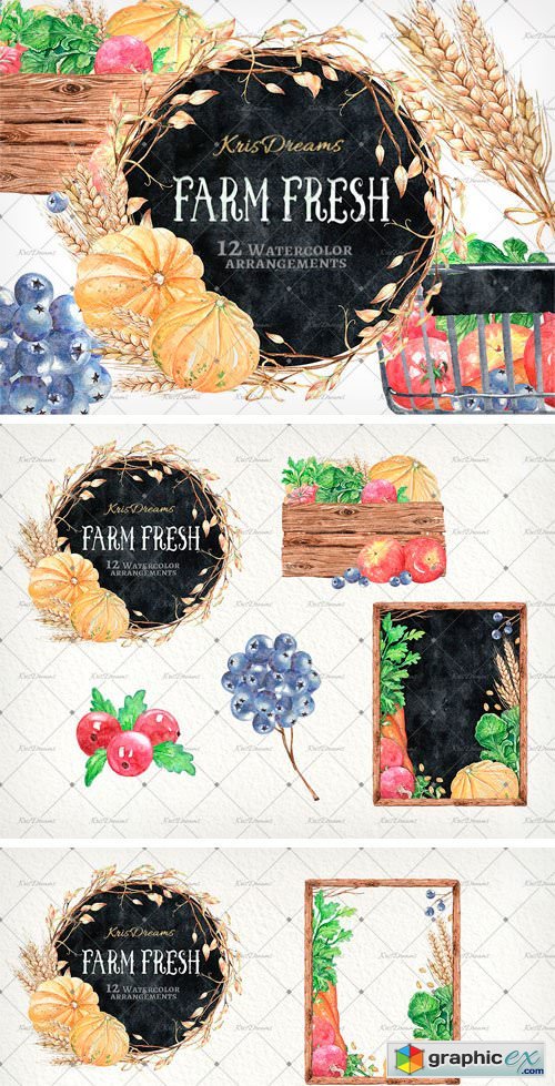 Farm Fresh Watercolor Arrangements