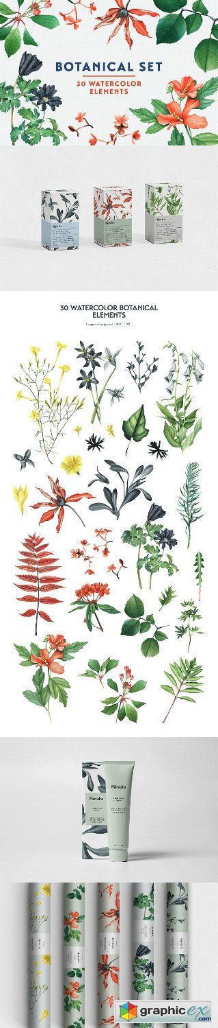 Botanical Watercolor Set
