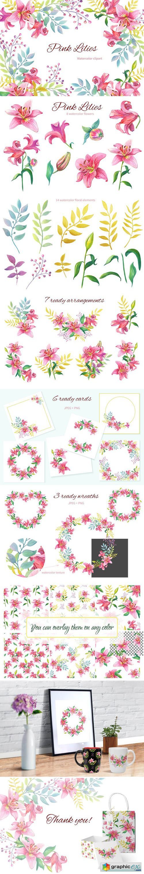 Pink Lilies.Watercolor clipart