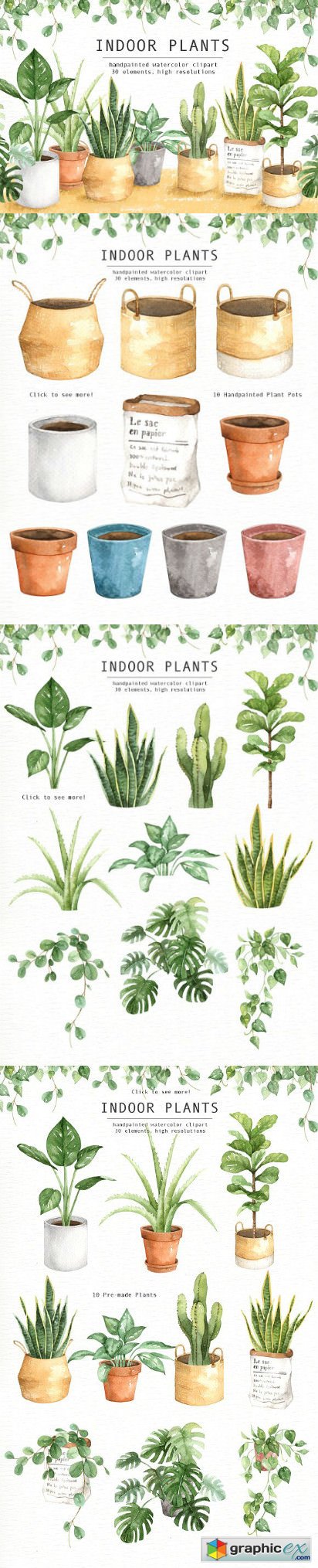 Indoor Plants Watercolor Clipart