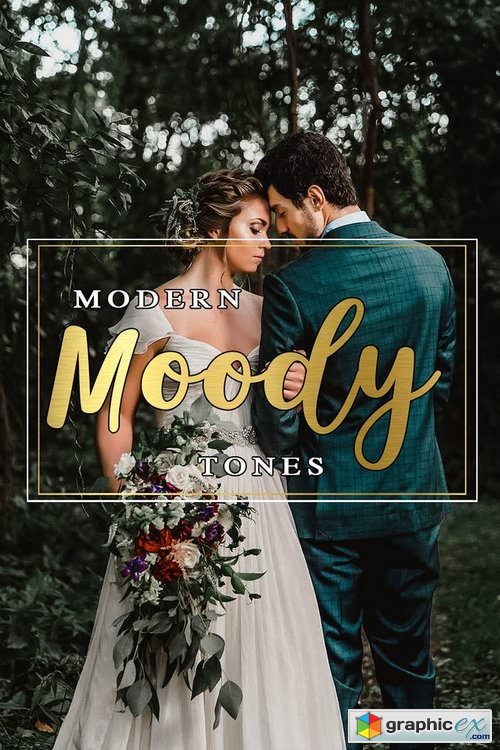 Modern Moody Tones Lightroom Preset