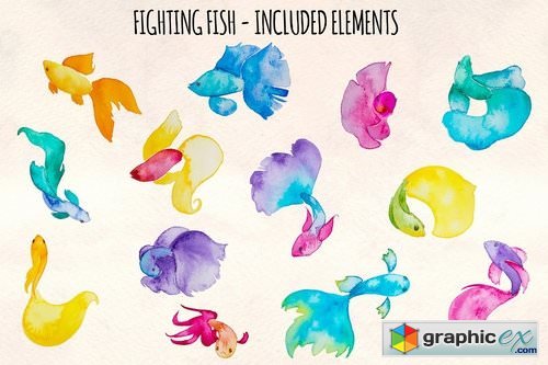 13 Beta Fighting Fish Elements