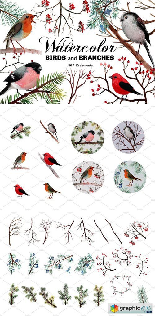 Watercolor birds and branches
