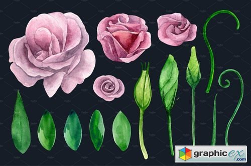 Watercolor lisianthus clip art