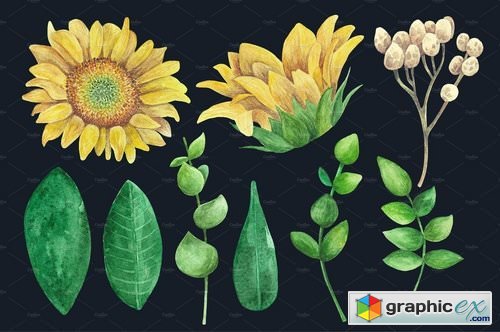 Watercolor rustic flowers clip art