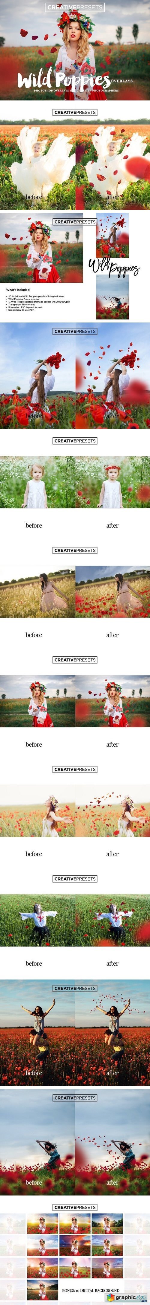 Wild Poppies Photo Overlays