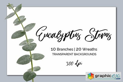 Eucalyptus Branches & Wreath ClipArt