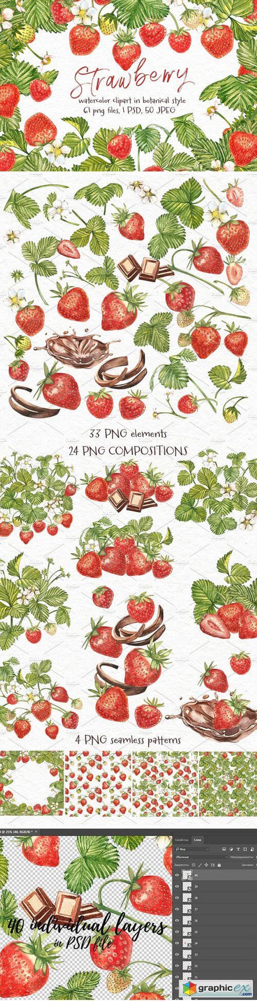 Strawberry illustrations