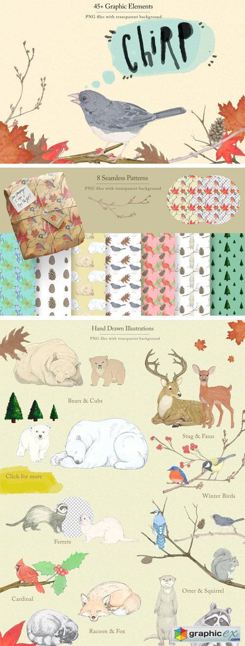 Winter Animals & Graphic Set