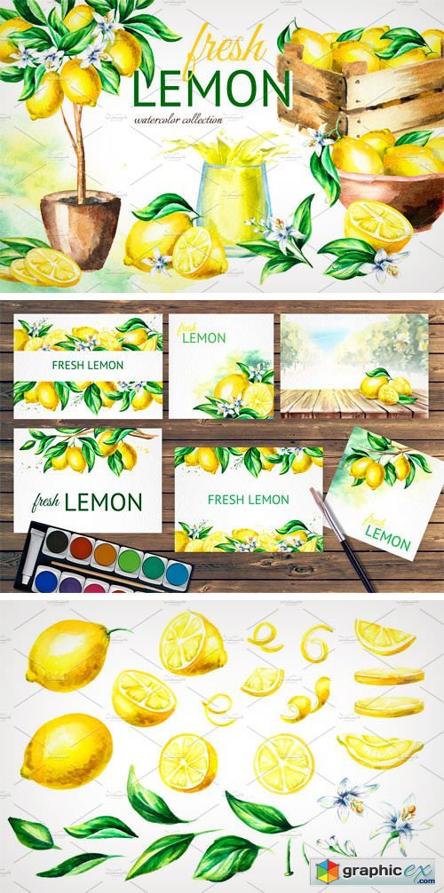 Fresh Lemon. Watercolor Collection
