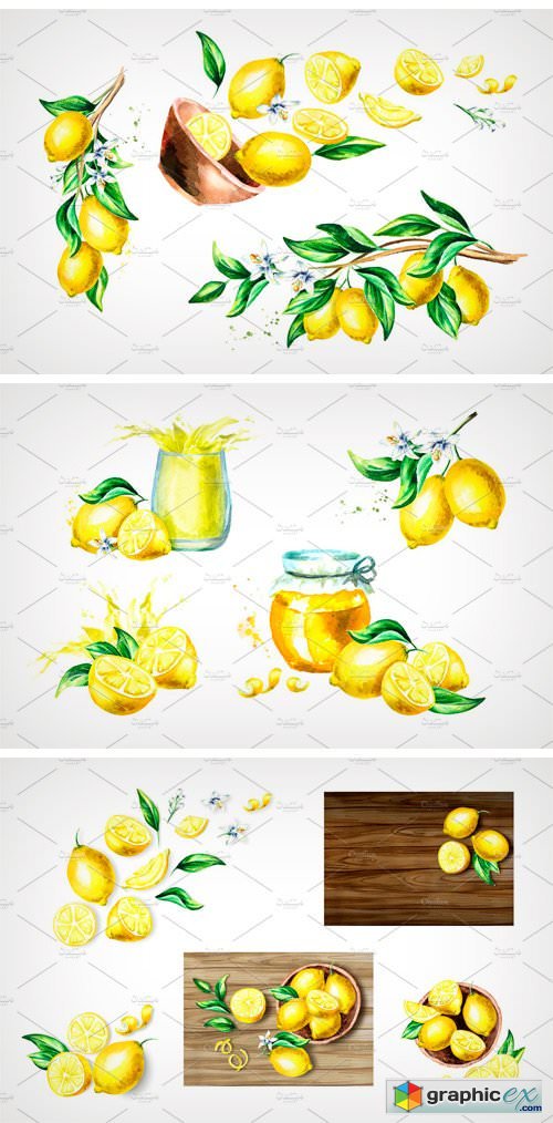 Fresh Lemon. Watercolor Collection