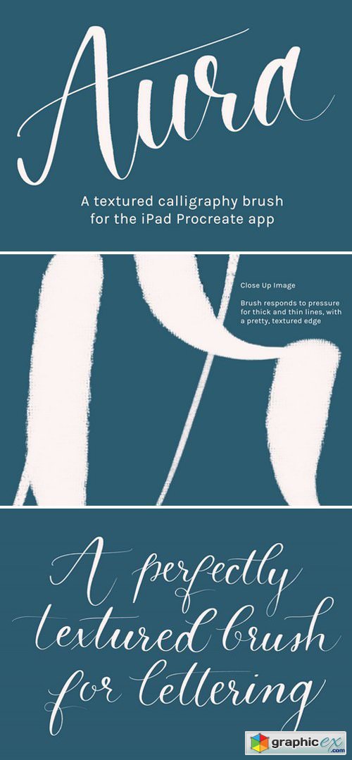 Procreate Calligraphy Brush | Aura