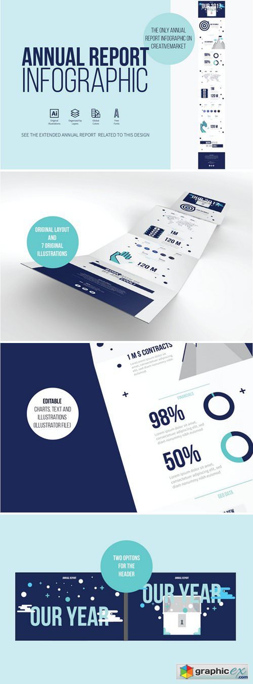 Annual Report Infographic