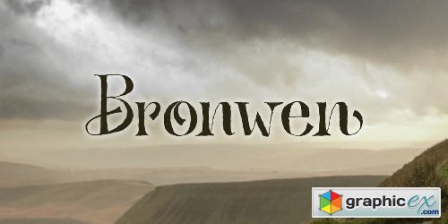 Bronwen Font Family - 2 Fonts
