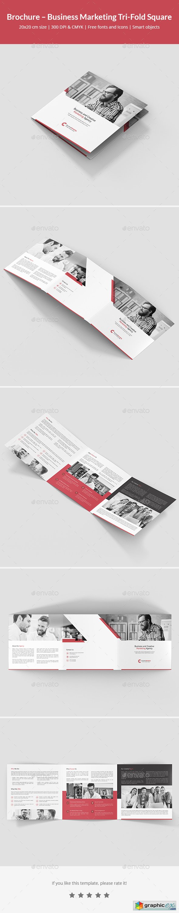 Brochure  Business Marketing Tri-Fold Square