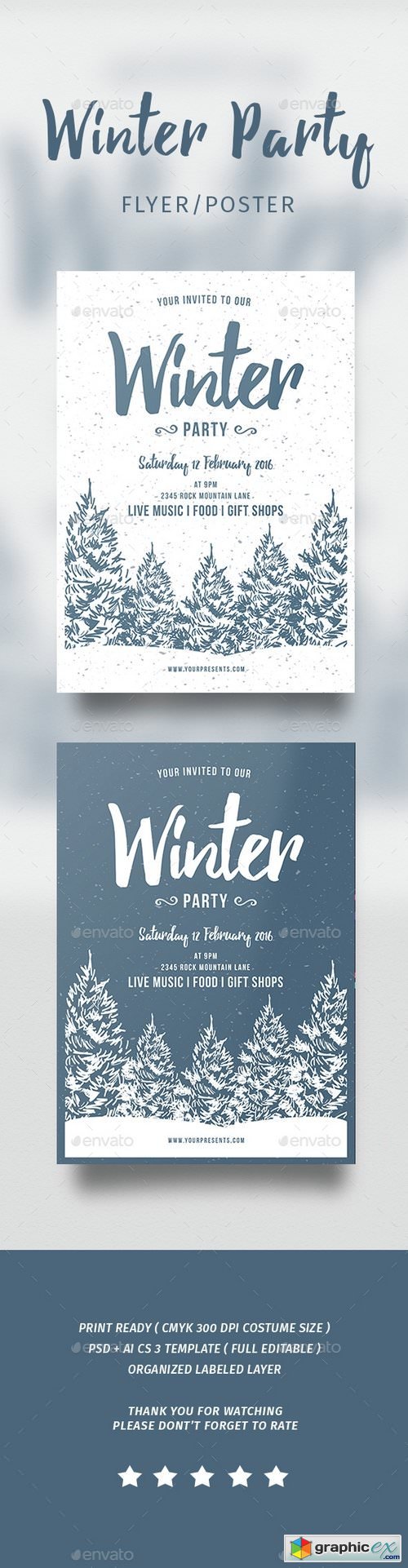 Winter Party Flyer 14629366