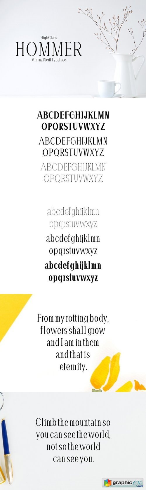 Hommer Minimal Serif 6 Font Family