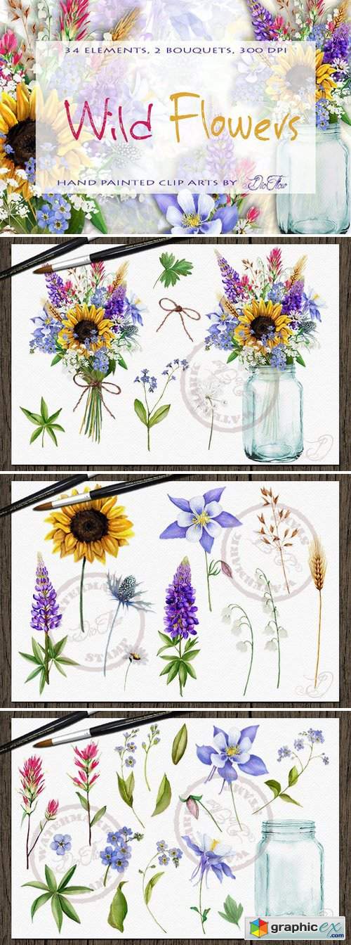 Wild Flowers Watercolor Clip Art