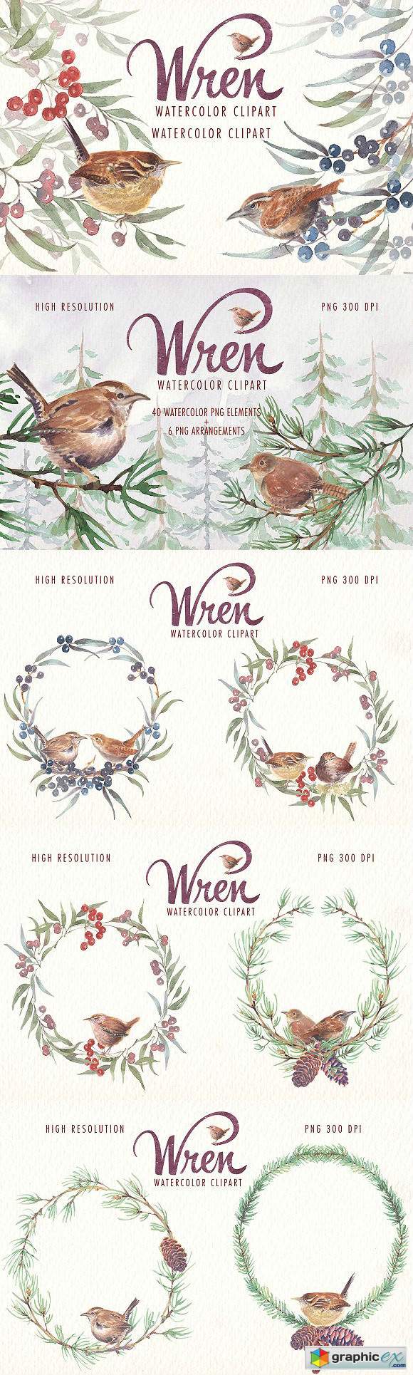 Watercolor wren bird clipart set
