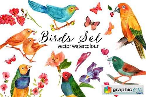 Vector Watercolour Birds Set