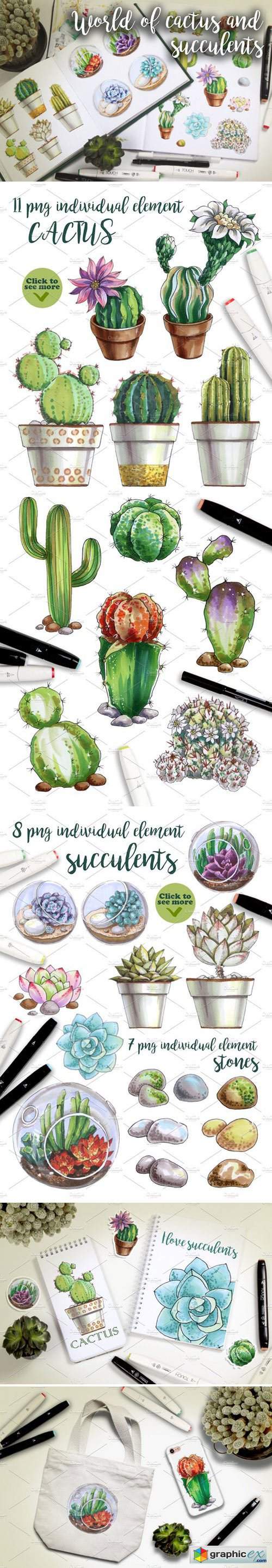 World of cactus and succulents