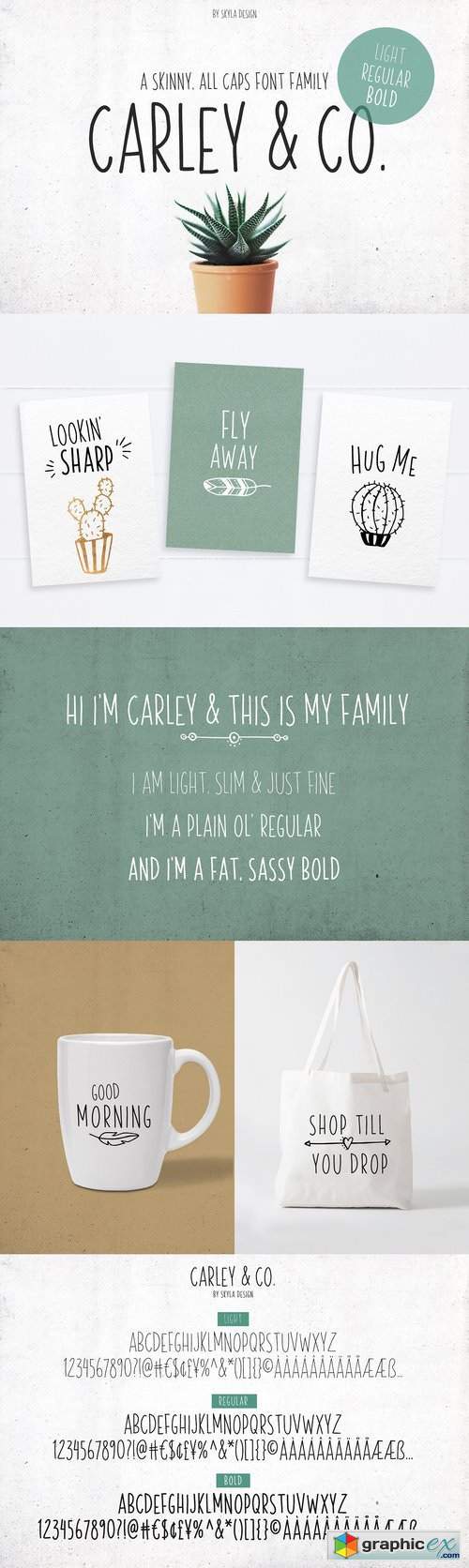 Skinny Font family Carley & Co.
