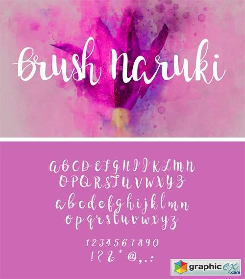 Brush Naruki Font