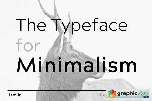 HAMLIN - Minimal Geometric Typeface + Web Fonts - 6 Fonts
