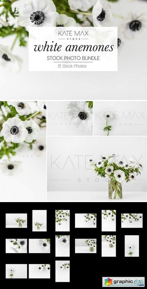 White Anemones Stock Photo Bundle