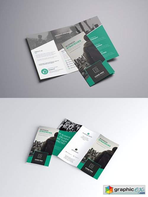 Trifold Brochure 2334931