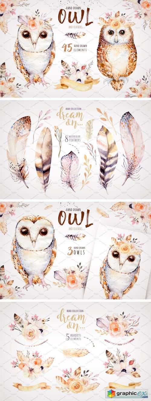 Watercolor Cute Owls II