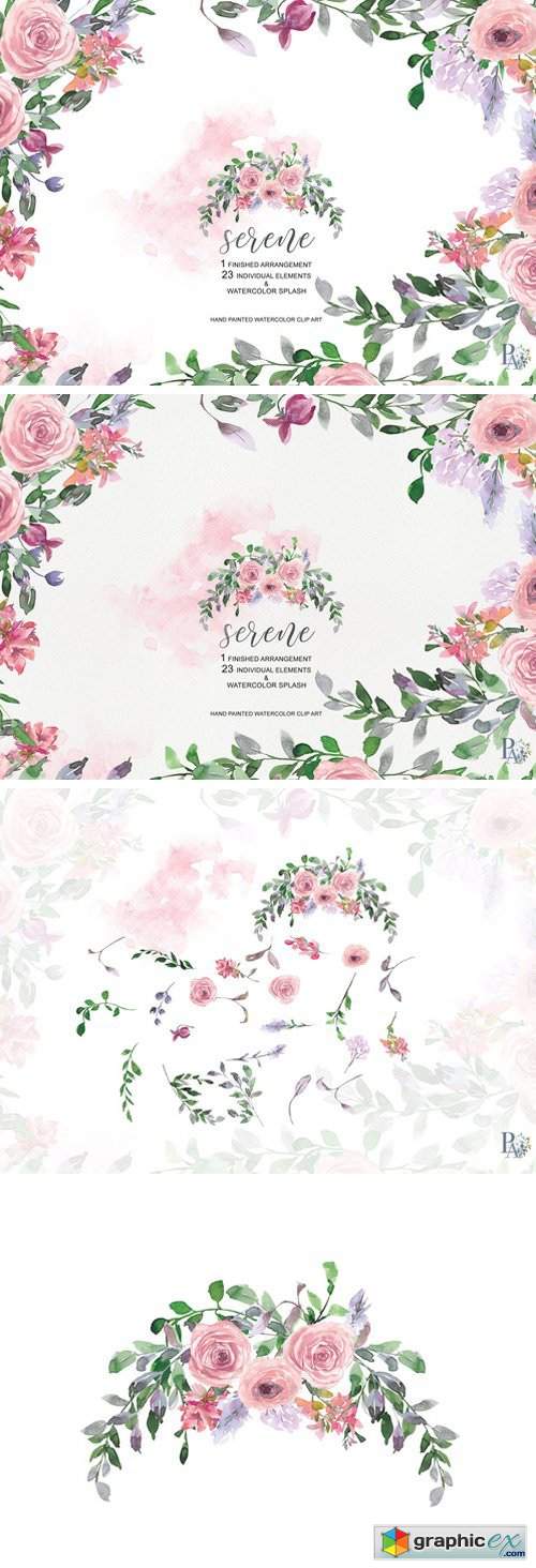 Watercolor Blush Rose Set