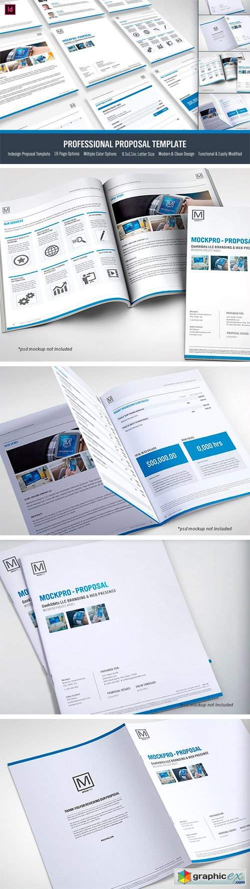 Simple Proposal Template Indesign