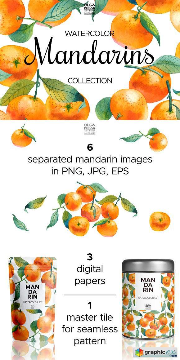Watercolor Mandarins