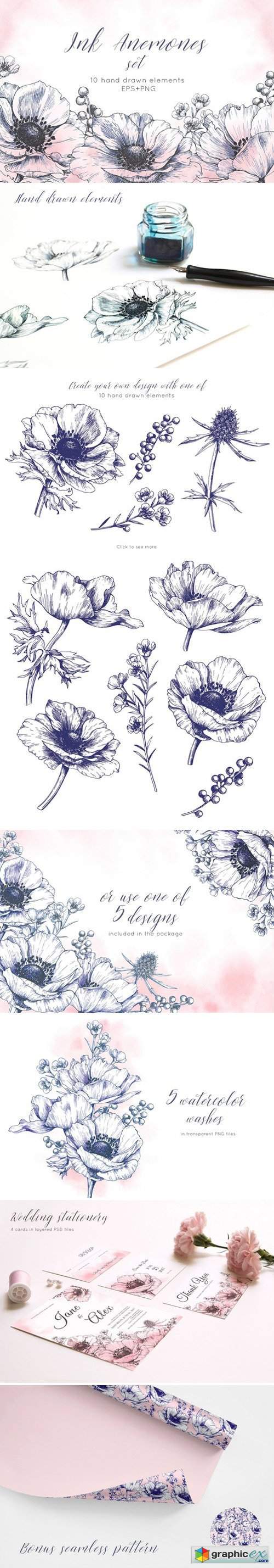 Ink anemone flowers set