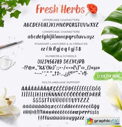 Fresh Herbs Font