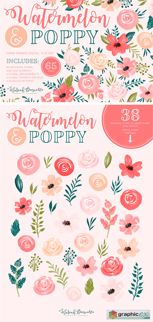 Watermelon Poppy Floral Graphic Set