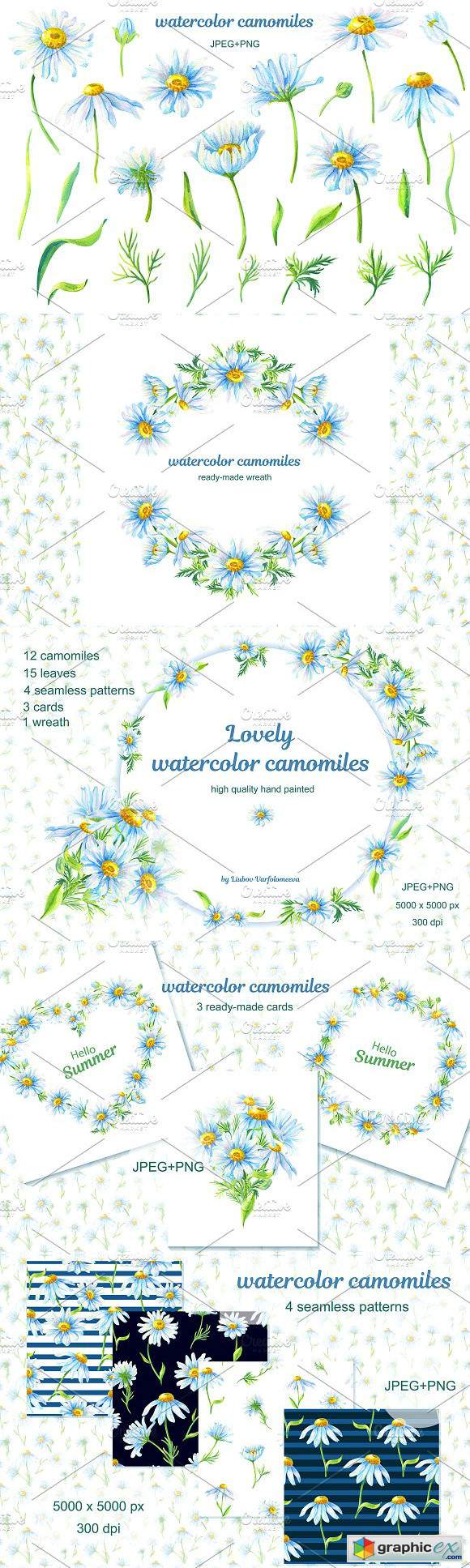 Lovely watercolor camomiles