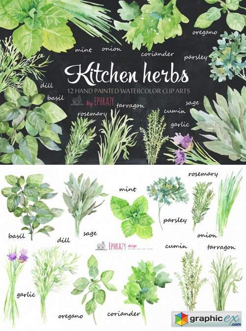 Kitchen herbs. Watercolor clipart