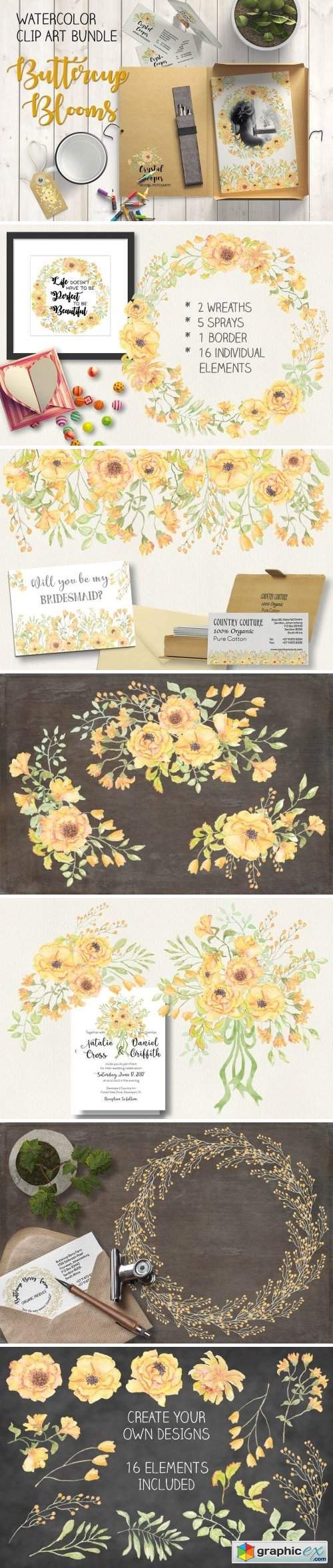 Watercolor bundle: Buttercup blooms