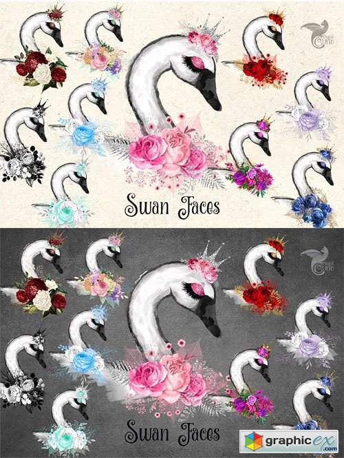 Swan Faces Clipart