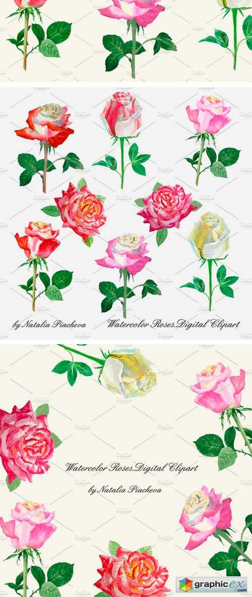 Watercolor Clipart with Roses