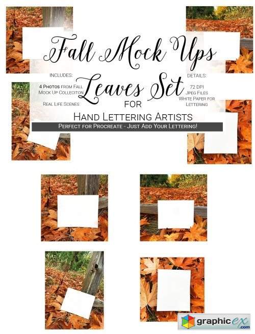 Fall Mock Ups | Leaves Set