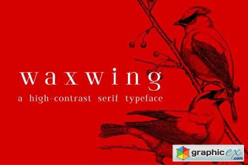 Waxwing Serif Font
