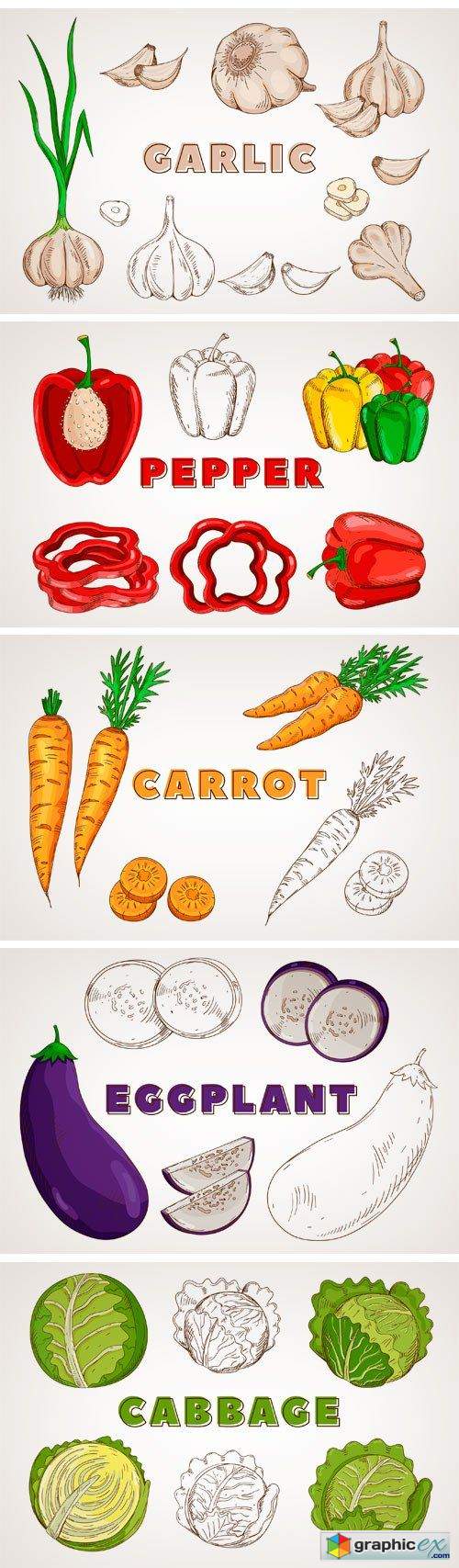 Vegetables in the Vintage Style
