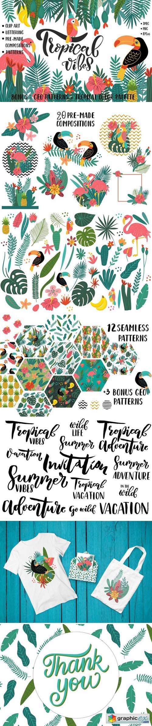 Tropical Clip Art & Patterns Set